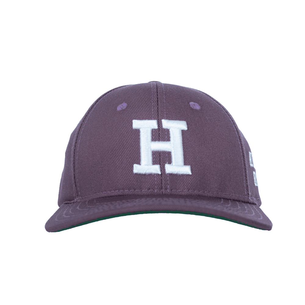 Collegiate Cap v.2 - Purple